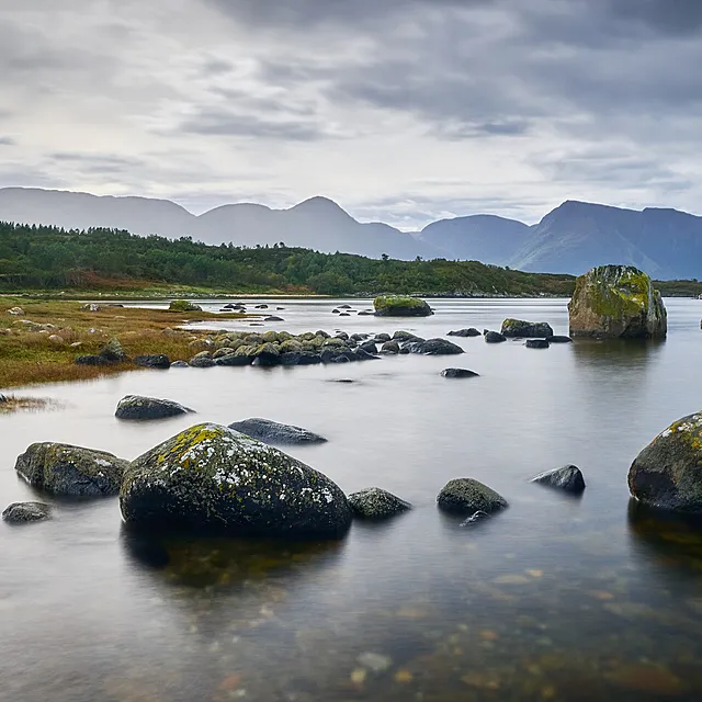 Vurderer du å bestille Norgespris? Vurderer du å bestille Norgespris?