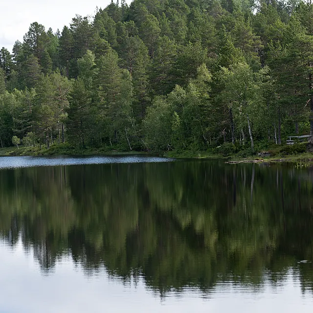 Slik bestiller du Norgespris Slik bestiller du Norgespris